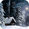 ʥ����̨Christmas