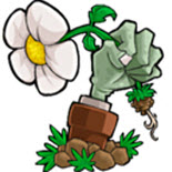 植物大战僵尸MAC版1.0.4 官方版