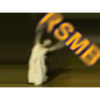 AE��̬ģ�����(ReelSmart MotionBlur Pro)
