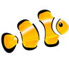 mac��������(Marine Aquarium)