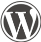 WP�е�����������(WP Youdao Slug)
