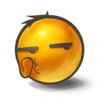 ���Ļ�������