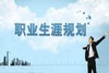 ְҵ�滮ʵʩ��������