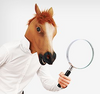 AEԤ����Ŀ�ز��ļ����(Mister Horse Previewer)