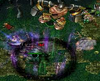 DOTA��г�����Ҷ�