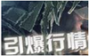 Ӯ���������������