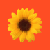 ��԰app