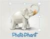 Wiseval PhotophantͼƬ����������С����