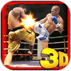 ���ȭ��սʿBest Boxing Fighter