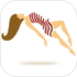 �������appV1.1 �ٷ���׿��