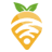 �ܲ�WiFi