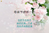 ĸ�׵���һ�졪��ĸ�׽�����PPT