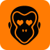 IT�澭app