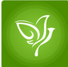 �ֽ���app