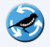 Digital Image Auto Rotate And Edit