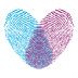 ����app