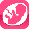 ������app