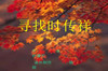 �˽̰�����ѧϰ��Ѱ��ʱ���顷PPT�μ�