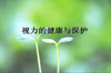 ���������뱣��PPTģ��