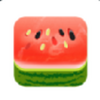 �������˿App