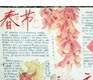 2016����괺�������ֳ�����ӡ��(��Ӣ�İ�)