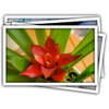 MacͼƬ�༭����(LightTable)