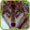 Furious Wolf Simulator(��ŭ֮�����޽�����°�)