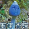 �����㹽����