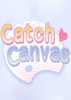 Catch Canvas������׽