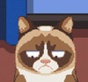 ��ˬèGrumpy Cat-Ready,Set,NO