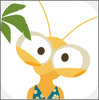 ��������app