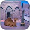 Escape Game Desert Camel(������ϷɳĮ��������)