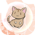 è�����ݱ�ֽv1.3.9��׿��