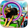 Stunt Dog Simulator 3D(�ؼ���������)