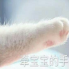 ǣ��������èצϵ��ͼƬ