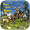 Deer of the Forest(ɭ֮¹)