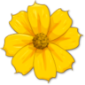 ������ɫ����
