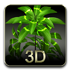 My 3D plantv2.6 ֻ