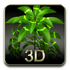 My 3D plant