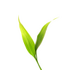 ΢��ʿ�ҳ���appv5.1.4��׿�ֻ���