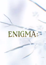 ENIGMA: The GameٷӲ̰