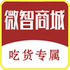 ΢���̳�app