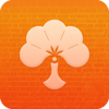 ���������app