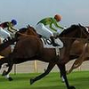 Cowboys Horse Racing Field(��֮�����ڴ��氲׿��)
