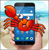 �绰����зcrab in phone joke