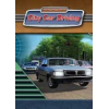 City Car Driving���ĺ�����(��������)