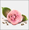 һ׿�Ƽ�app