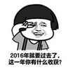2016�����������ջ���ʲô�����