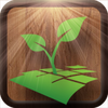 ��������app