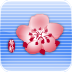 �л�����app